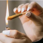 Best THCA Pre-Rolls for Wellness: Boost Your Well-Being Organically